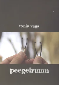 Peegelruum