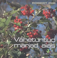 Vähetuntud marjad aias