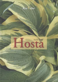 Hosta