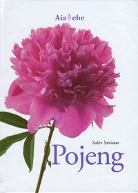 Pojeng