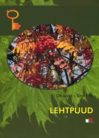 Lehtpuud