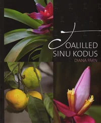 Toalilled sinu kodus