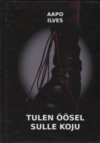 Tulen öösel sulle koju
