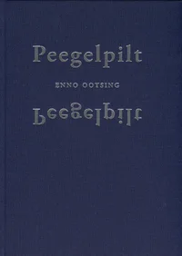 Peegelpilt