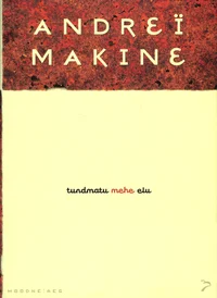Tundmatu mehe elu