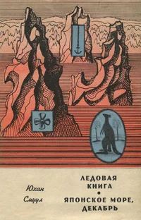 Ледовая книга. Японское море, декабрь. Ledovaja kniga. Japonskoje morje, dekabr