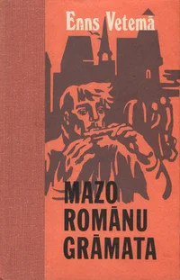 Mazo romānu grāmata