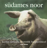 Südames noor