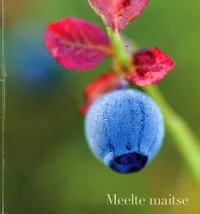 Meelte maitse