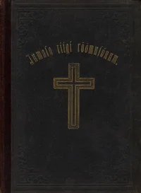 Jumala riigi rõõmusõnum