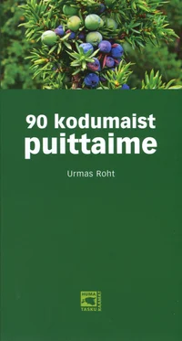 90 kodumaist puittaime