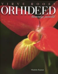 Orhideed