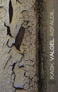 Kask valgel asfaldil