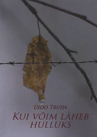 Kui võim läheb hulluks