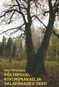 Ida-Virumaa põlispuud, kivimürakad ja salapärased veed