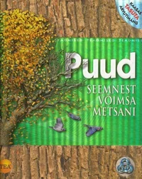 Puud