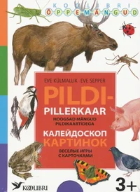 Pildipillerkaar