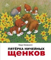 Пятёрка ничейных щенков. Pjatjorka nitšeinõh štšenkov