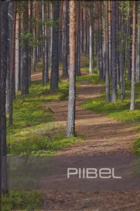 Piibel