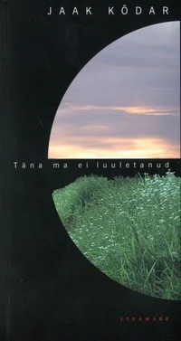 Täna ma ei luuletanud