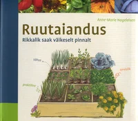 Ruutaiandus