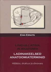 Ladinakeelsed anatoomiaterminid. Lingua latina in anatomia