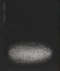 Silvi Liiva