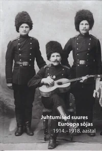 Juhtumised suures Euroopa sõjas 1914.–1918. aastal