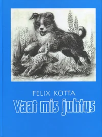 Vaat mis juhtus