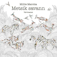 Metsik savann