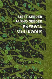 Energia sinu kodus