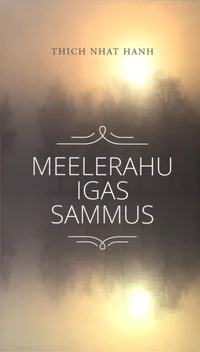 Meelerahu igas sammus