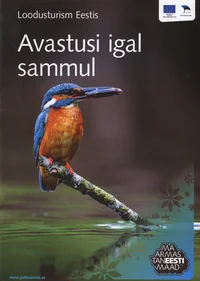 Avastusi igal sammul