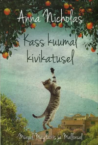 Kass kuumal kivikatusel