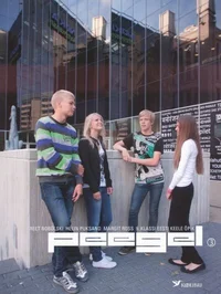 Peegel 3