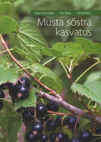 Musta sõstra kasvatus
