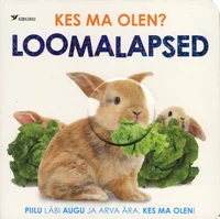 Kes ma olen?