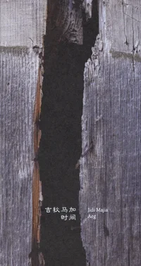 Aeg