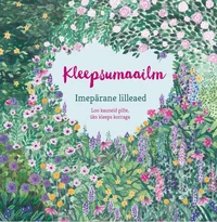 Kleepsumaailm
