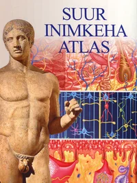 Suur inimkeha atlas