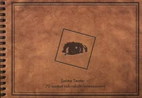 Salme Teater - 70 aastat rahvakultuurimissiooni