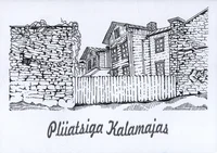 Pliiatsiga Kalamajas