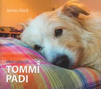 Tommi padi