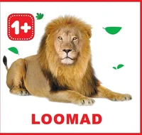 Loomad