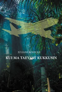 Kui ma taevast kukkusin