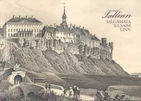 Salgamata ilusaim linn