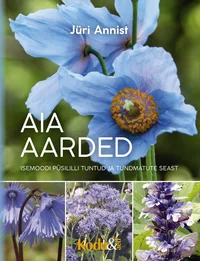 Aia aarded