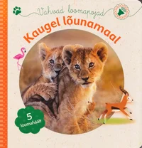 Kaugel lõunamaal
