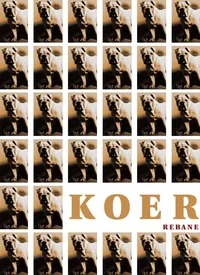 Koer