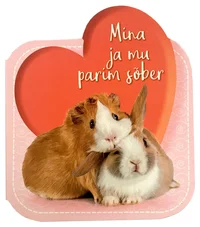 Mina ja mu parim sõber